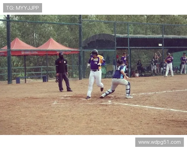 棒球即时比分直播：掌握最新赛况与精彩瞬间